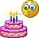 110103 Birthday Cake Prv